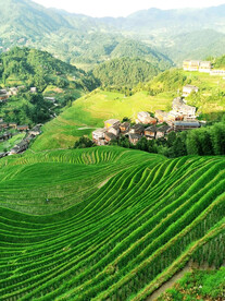 龙胜龙脊梯田风光