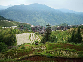 龙胜龙脊梯田风光