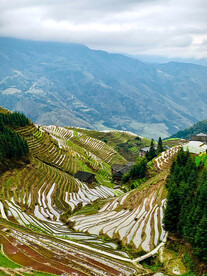 龙胜龙脊梯田风光