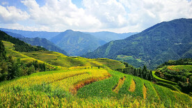 龙胜龙脊梯田风光
