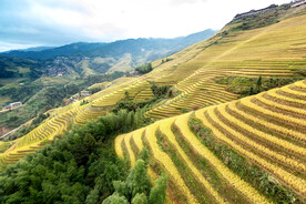龙胜龙脊梯田风光