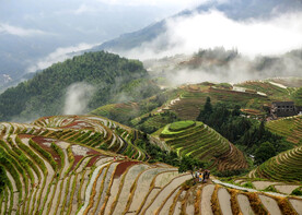 龙胜龙脊梯田风光