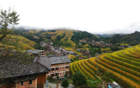 龙胜龙脊梯田风光