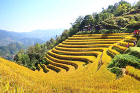 龙胜龙脊梯田风光