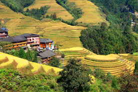 龙胜龙脊梯田风光