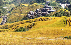 龙胜龙脊梯田风光