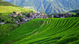 龙胜龙脊梯田风光