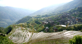 龙胜龙脊梯田风光