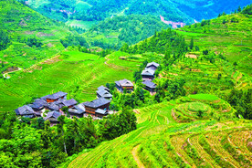 龙胜龙脊梯田风光