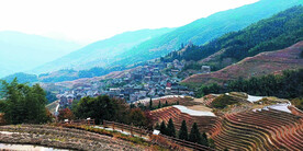 龙胜龙脊梯田风光