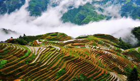 龙胜龙脊梯田风光