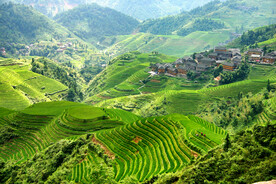 龙胜龙脊梯田风光