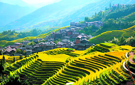 龙胜龙脊梯田风光