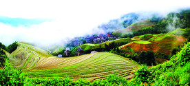 龙胜龙脊梯田风光