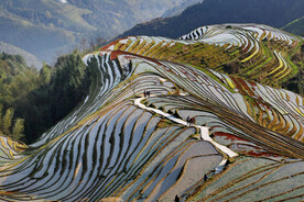 龙胜龙脊梯田风光