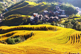 龙胜龙脊梯田风光