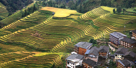 龙胜龙脊梯田风光