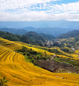 龙胜龙脊梯田风光
