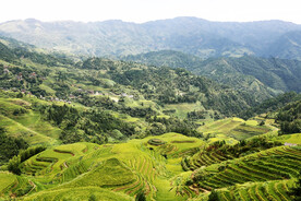龙胜龙脊梯田风光