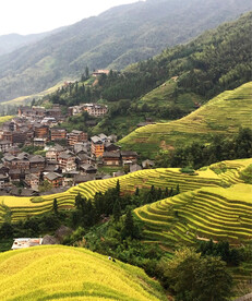 龙胜龙脊梯田风光