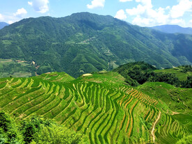 龙胜龙脊梯田风光