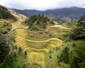 龙胜龙脊梯田风光