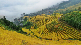 龙胜龙脊梯田风光