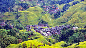 龙胜龙脊梯田风光