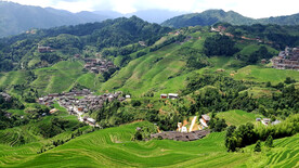 龙胜龙脊梯田风光