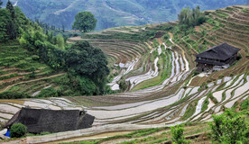 龙胜龙脊梯田风光