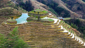 龙胜龙脊梯田风光