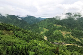 龙胜龙脊梯田风光