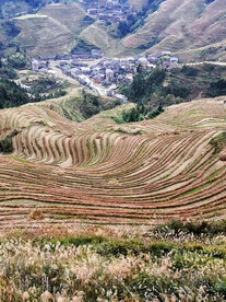 龙胜龙脊梯田风光