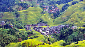 龙胜龙脊梯田风光