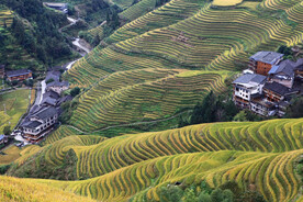 龙胜龙脊梯田风光