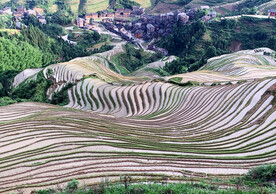 龙胜龙脊梯田风光