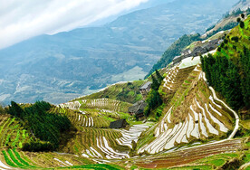 龙胜龙脊梯田风光