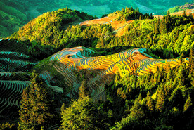 龙胜龙脊梯田风光