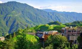 龙胜龙脊梯田风光