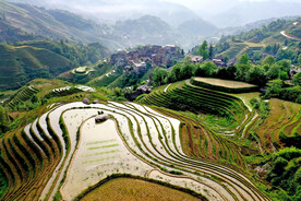 龙胜龙脊梯田风光