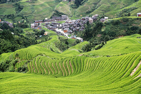 龙胜龙脊梯田风光