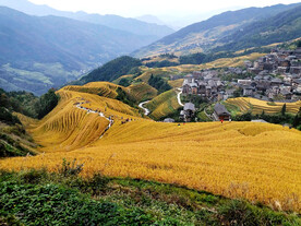 龙胜龙脊梯田风光