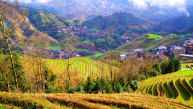 龙胜龙脊梯田风光