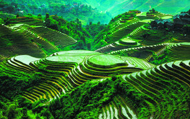 龙胜龙脊梯田风光