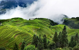 龙胜龙脊梯田风光