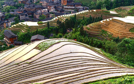 龙胜龙脊梯田风光