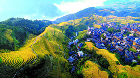 龙胜龙脊梯田风光