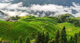 龙胜龙脊梯田风光