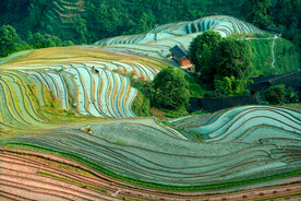 龙胜龙脊梯田风光