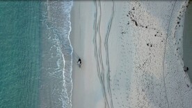 海边骑自行车航拍